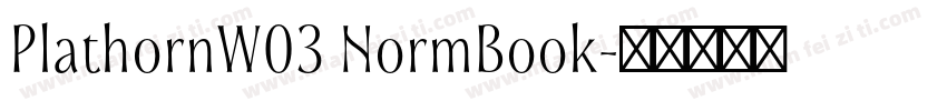 PlathornW03 NormBook字体转换